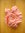 BON PLAN - Petite écharpe boa tour de cou en mousseline de soie rayée corail